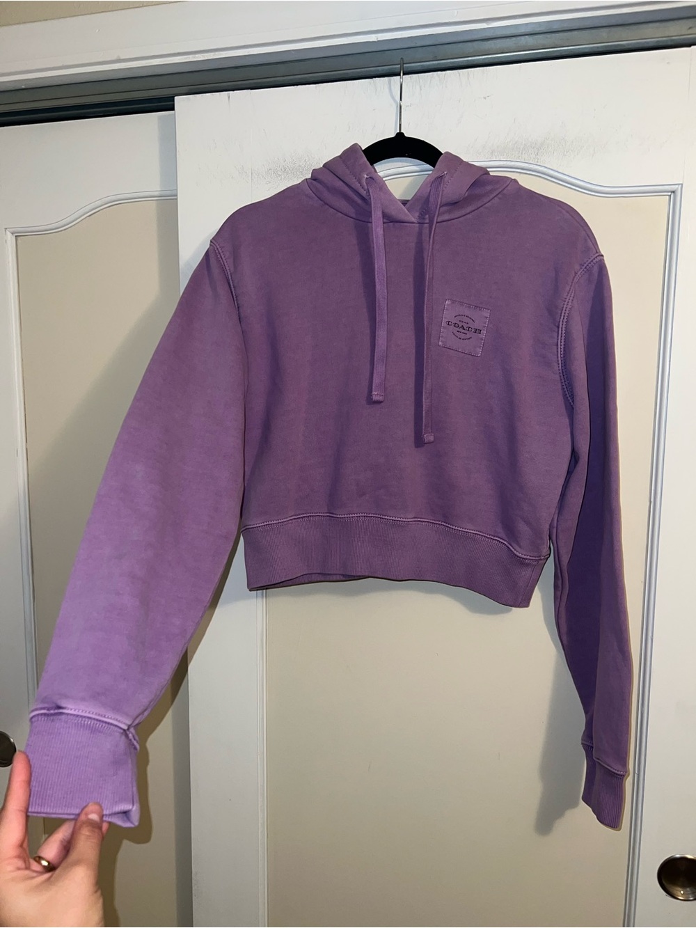 Coach Garment Dye Cropped Hoodie Sweatshirt in Purple - Picture 2 of 11